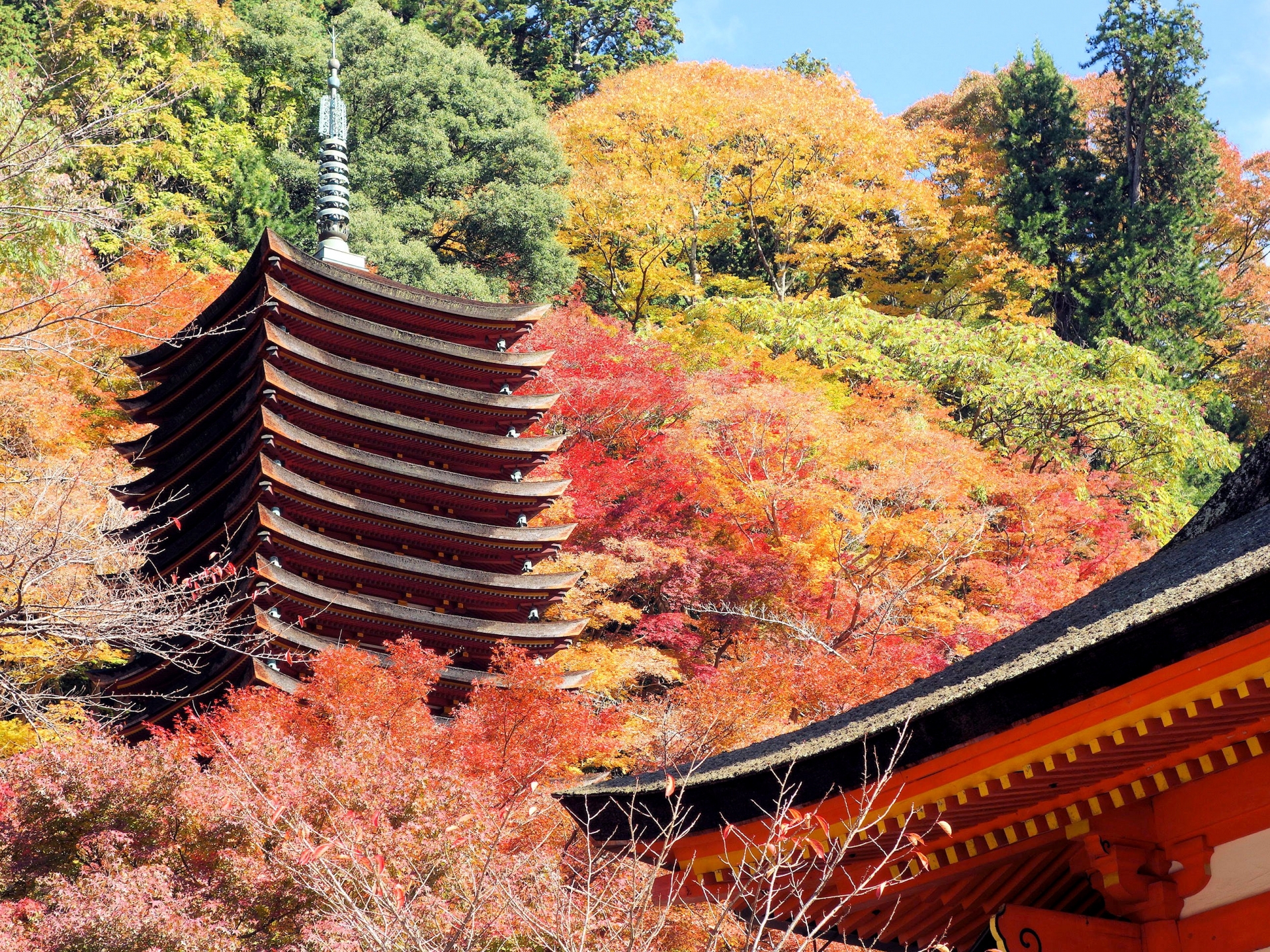 新品 】 【かなり貴重‼️】はとバス旅行全国観光地図 東海・近畿